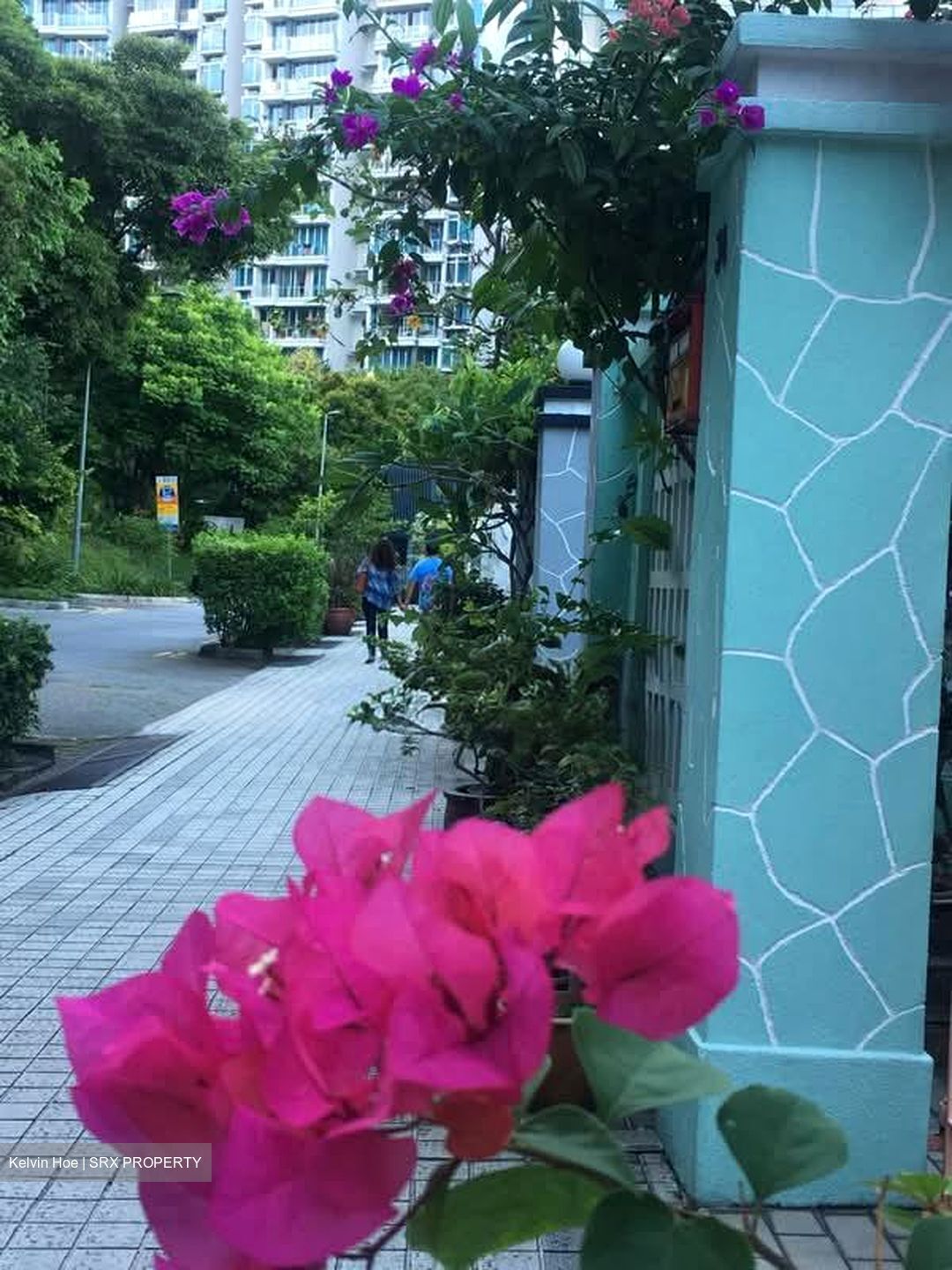 Emerald Hill Road (D9), Terrace #610400901